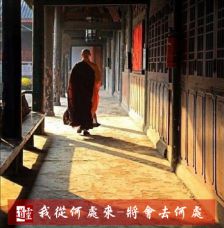 【我从何处来-将会去何处】